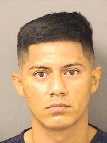  JORGE ALBERTO ESCOBARREYES Results from Palm Beach County Florida for  JORGE ALBERTO ESCOBARREYES