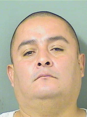  MIGUEL ANGEL TAPIAHERNANDEZ Results from Palm Beach County Florida for  MIGUEL ANGEL TAPIAHERNANDEZ