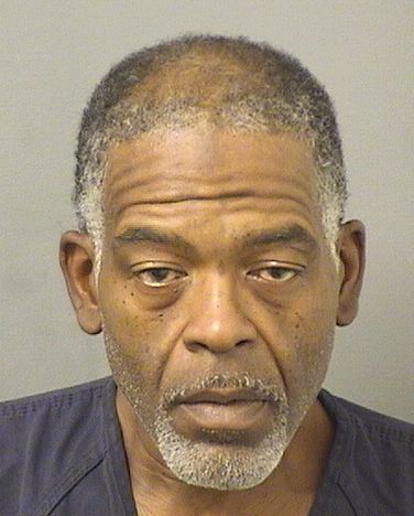  TERRANCE DWAYNE JOHNSON Results from Palm Beach County Florida for  TERRANCE DWAYNE JOHNSON