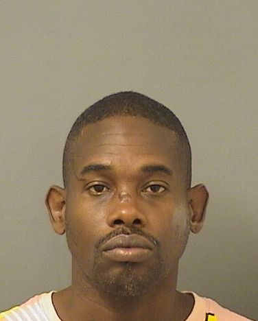  TROY L. REESE Results from Palm Beach County Florida for  TROY L. REESE