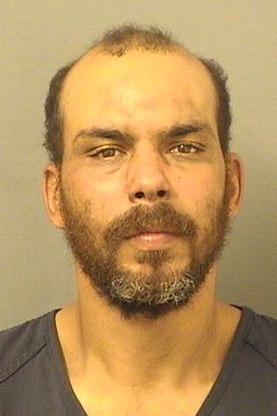  RAYMOND C CRUZ Results from Palm Beach County Florida for  RAYMOND C CRUZ