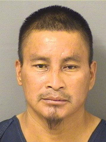  ALFREDO JIMENEZANDRES Results from Palm Beach County Florida for  ALFREDO JIMENEZANDRES