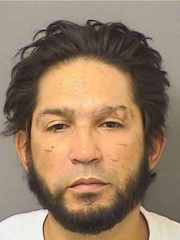  ANDRES RICARDO MARTINEZ Results from Palm Beach County Florida for  ANDRES RICARDO MARTINEZ