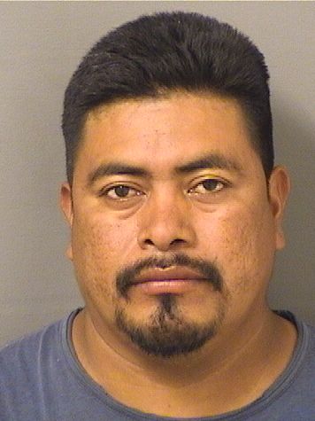  NOE AMERICO SANCHEZMORALES Results from Palm Beach County Florida for  NOE AMERICO SANCHEZMORALES