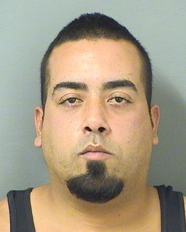  JONATHAN ALFREDO SOBAVEGA Results from Palm Beach County Florida for  JONATHAN ALFREDO SOBAVEGA