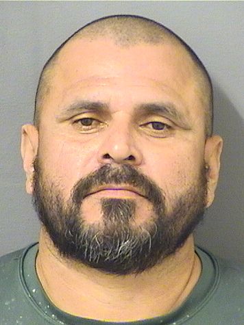  ROMEL VELASQUEZ Results from Palm Beach County Florida for  ROMEL VELASQUEZ