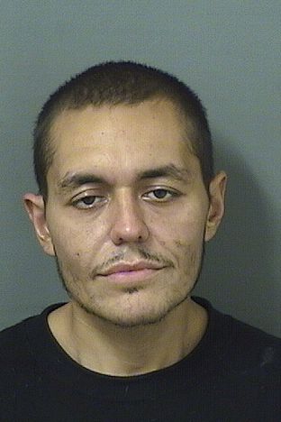  CESAR MANUEL LOPEZ Resultados de la busqueda para Palm Beach County Florida para  CESAR MANUEL LOPEZ