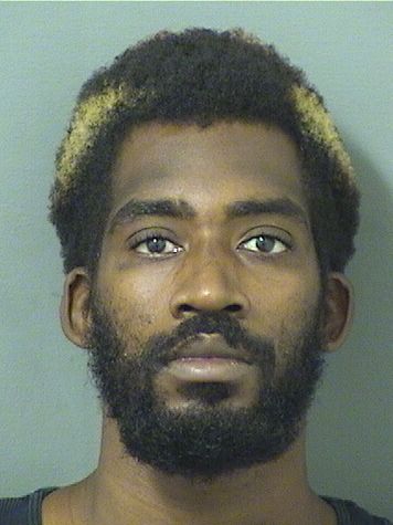  CHRIST LOUIS Resultados de la busqueda para Palm Beach County Florida para  CHRIST LOUIS