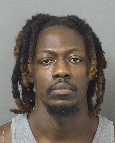  GREGORY J DAVIS Results from Palm Beach County Florida for  GREGORY J DAVIS