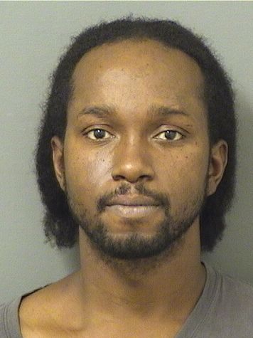  LAVARIS JONTAE WILLIAMSON Results from Palm Beach County Florida for  LAVARIS JONTAE WILLIAMSON