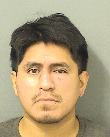  FELIPE FRANCISCO Results from Palm Beach County Florida for  FELIPE FRANCISCO