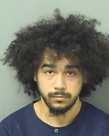  LUIS ROSADO Results from Palm Beach County Florida for  LUIS ROSADO