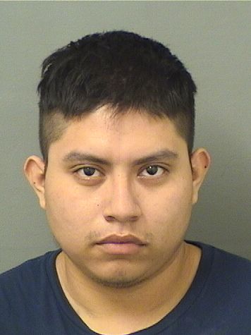  FABIAN PERALESLOPEZ Results from Palm Beach County Florida for  FABIAN PERALESLOPEZ