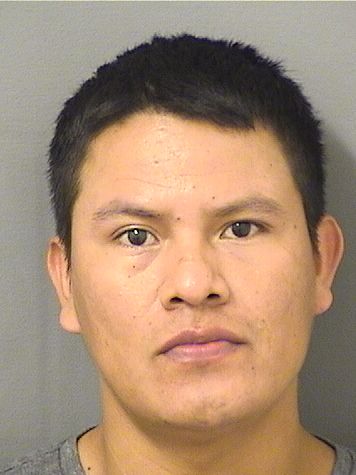  JOSE ROBERTO JIMENEZPEREZ Resultados de la busqueda para Palm Beach County Florida para  JOSE ROBERTO JIMENEZPEREZ