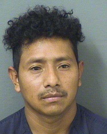 MANUEL MARCOSCARDONA Photos For  MANUEL MARCOSCARDONA  MANUEL MARCOSCARDONA Photo For  MANUEL MARCOSCARDONA