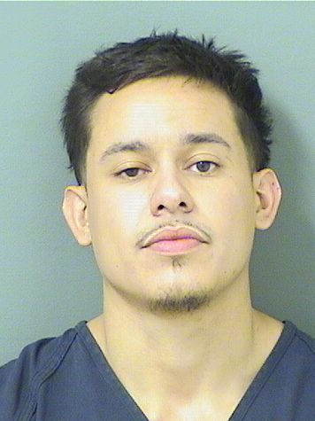  JONATHAN JOEL FLEITAS Results from Palm Beach County Florida for  JONATHAN JOEL FLEITAS