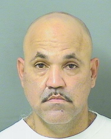  RAY ANTHONY ORTIZ Results from Palm Beach County Florida for  RAY ANTHONY ORTIZ