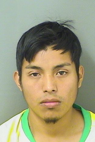  JOSE GUADALUPE MORALESXUTUC Results from Palm Beach County Florida for  JOSE GUADALUPE MORALESXUTUC