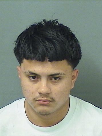  YORLIN VILLATORO Photo For  YORLIN VILLATORO