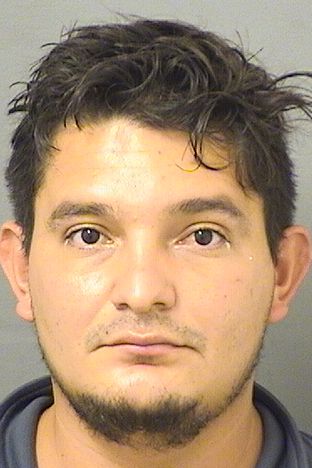  JOSE EVELIO ALVAREZBONILLA Results from Palm Beach County Florida for  JOSE EVELIO ALVAREZBONILLA