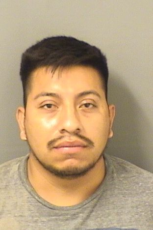  DELFINO ARANDA Photo