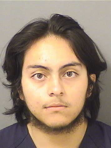 LUIS MIGUEL FERNANDEZ Results from Palm Beach County Florida for LUIS MIGUEL FERNANDEZ LUIS MIGUEL FERNANDEZ Results from Palm Beach County Florida for LUIS MIGUEL FERNANDEZ