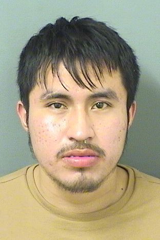  LUIS F GARCIAMENDOZA Results from Palm Beach County Florida for  LUIS F GARCIAMENDOZA