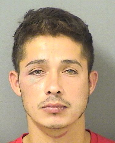 BRAYAN ZELAYA Results from Palm Beach County Florida for BRAYAN ZELAYA BRAYAN ZELAYA Results from Palm Beach County Florida for BRAYAN ZELAYA