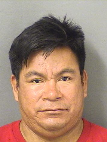  JUAN GOMEZHERNANDEZ Results from Palm Beach County Florida for  JUAN GOMEZHERNANDEZ