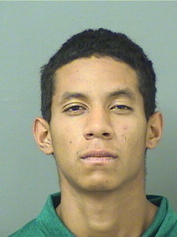  MICHAEL EDWARDO MENDOZAIBARRA Results from Palm Beach County Florida for  MICHAEL EDWARDO MENDOZAIBARRA