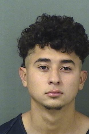  JESUS ALONSO MOLINAAYALA Results from Palm Beach County Florida for  JESUS ALONSO MOLINAAYALA