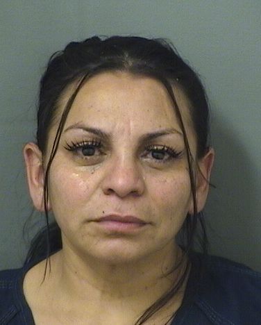  CYNTHIA DISCUAMENDOZA Results from Palm Beach County Florida for  CYNTHIA DISCUAMENDOZA