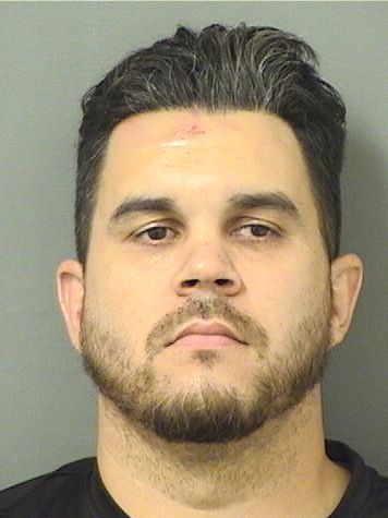  ROBERT PHILLIP GREEN Results from Palm Beach County Florida for  ROBERT PHILLIP GREEN