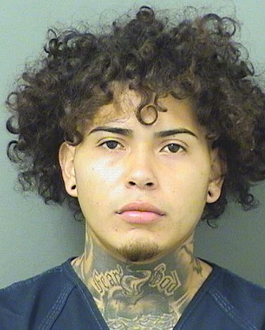  JUAN CARLOS VILLATOROHERNANDEZ Results from Palm Beach County Florida for  JUAN CARLOS VILLATOROHERNANDEZ