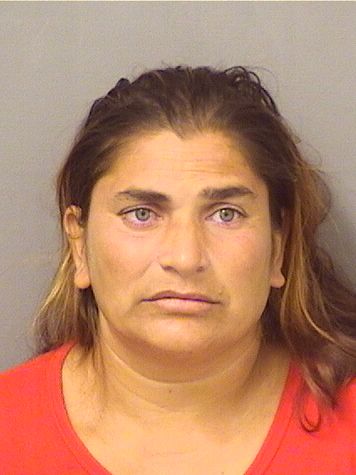  LACRIMIOARA TUDOR Results from Palm Beach County Florida for  LACRIMIOARA TUDOR