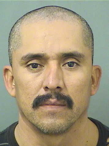 MANUEL BETANCOURTNAJERA Results from Palm Beach County Florida for MANUEL BETANCOURTNAJERA MANUEL BETANCOURTNAJERA Results from Palm Beach County Florida for MANUEL BETANCOURTNAJERA