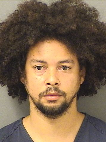  WESLEY MARTINS RODRIGUES Results from Palm Beach County Florida for  WESLEY MARTINS RODRIGUES