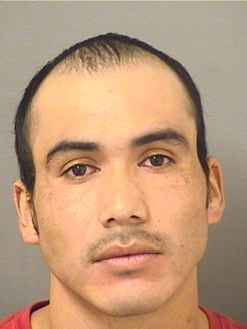 APOLONIO ORANTES resultados de la busqueda para Palm Beach County Florida para APOLONIO ORANTES APOLONIO ORANTES Resultados de la busqueda para Palm Beach County Florida para APOLONIO ORANTES