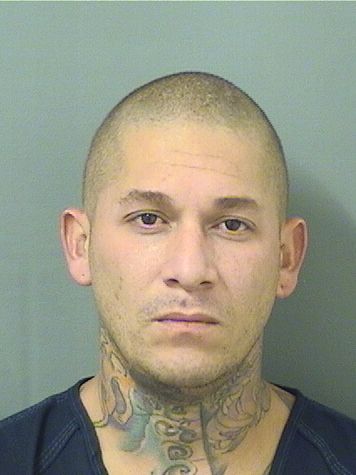  YOAN F JABALERA Results from Palm Beach County Florida for  YOAN F JABALERA
