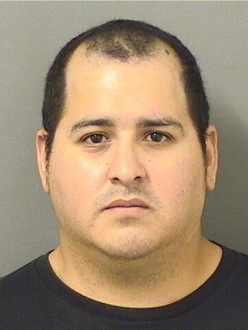  JOSE GUADALUPE Jr HERNANDEZ Results from Palm Beach County Florida for  JOSE GUADALUPE Jr HERNANDEZ