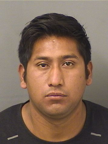  ANDREYDI LOPEZJUAREZ Results from Palm Beach County Florida for  ANDREYDI LOPEZJUAREZ