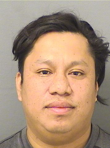  MARVIN RENE GONZALEZLOPEZ Results from Palm Beach County Florida for  MARVIN RENE GONZALEZLOPEZ