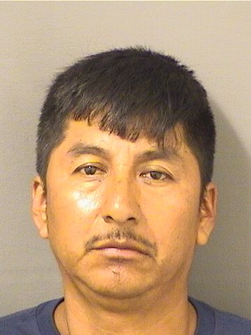  PEDRO MATROJUAN Photo For  PEDRO MATROJUAN