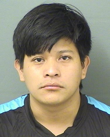  ANDRES DOMINGOSALES Resultados de la busqueda para Palm Beach County Florida para  ANDRES DOMINGOSALES