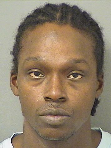  AMICO TAMAR SAWYER Results from Palm Beach County Florida for  AMICO TAMAR SAWYER