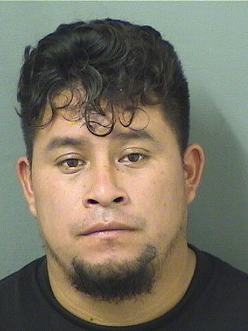  ANDRES FRANCISCO Resultados de la busqueda para Palm Beach County Florida para  ANDRES FRANCISCO