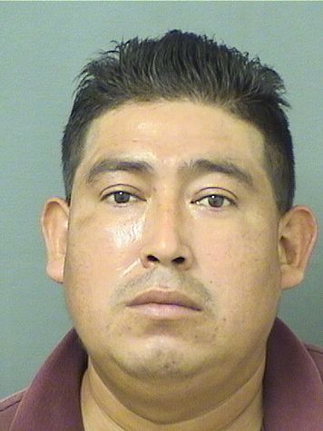  LUIS ABEL HERNANDEZ Results from Palm Beach County Florida for  LUIS ABEL HERNANDEZ