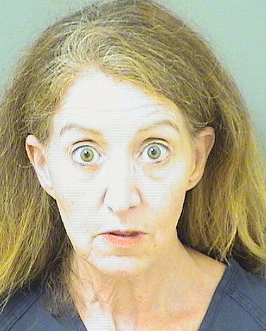  AMANDA KARIN NORRIS Results from Palm Beach County Florida for  AMANDA KARIN NORRIS