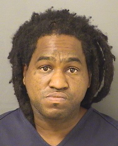  BENJAMIN ARI LEWIS Resultados de la busqueda para Palm Beach County Florida para  BENJAMIN ARI LEWIS