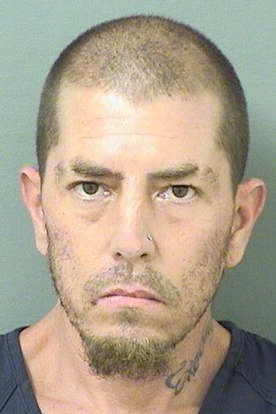  JAMES ROBERT CARLSON Results from Palm Beach County Florida for  JAMES ROBERT CARLSON